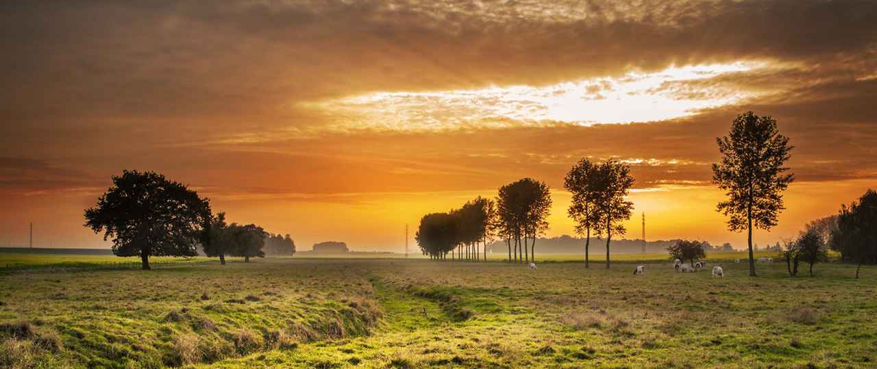 在线手机号轰炸机