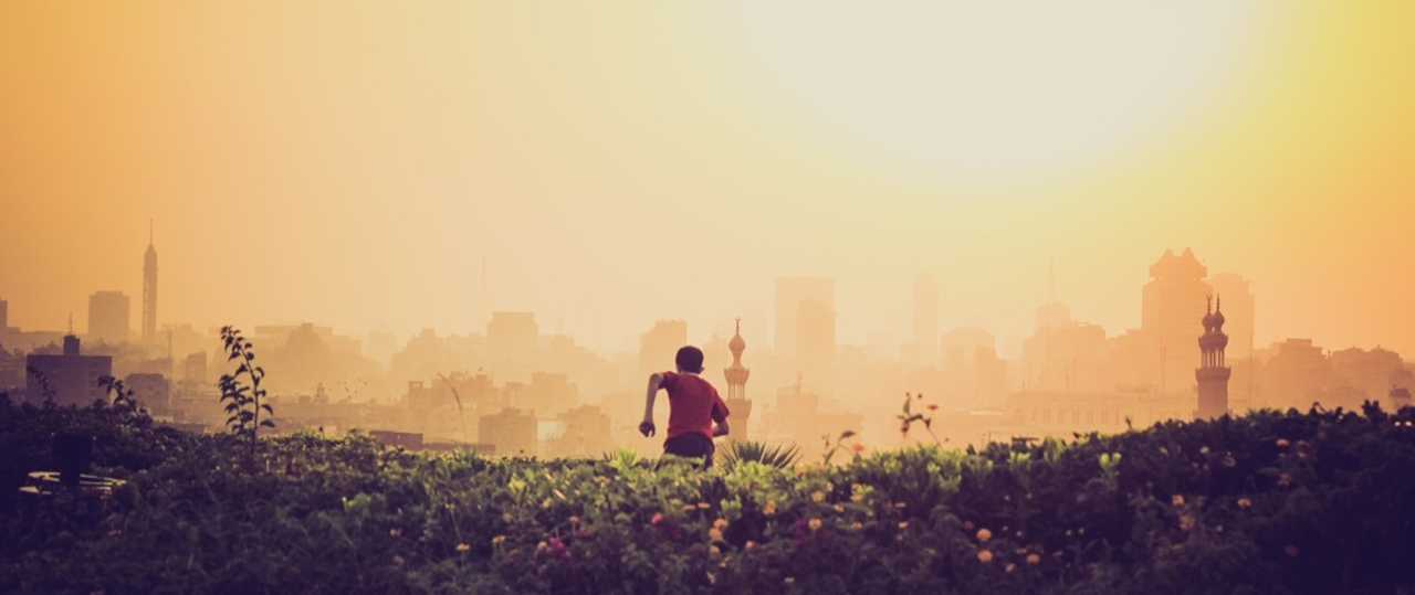 在线手机号轰炸机