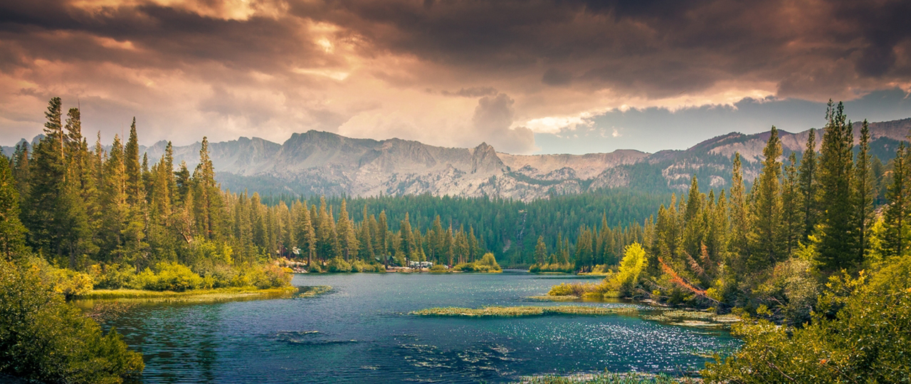 精简版流畅的电话呼叫软件
