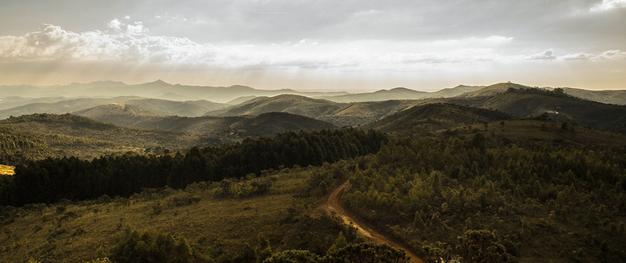 哪个平台安全的在线永久免费轰炸电话