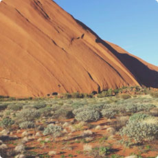 手机被攻击连续收短信