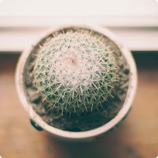 手机号轰在线网页版入口