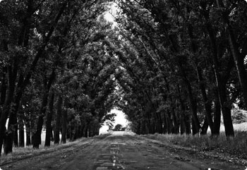 呼叫TA急速系统