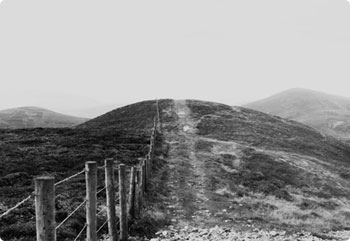 短信轰在线轰炸